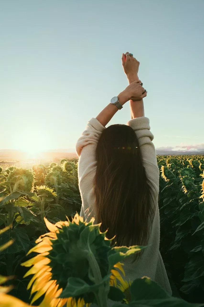 on your side, refund policy, The Online Garden, sunflowers