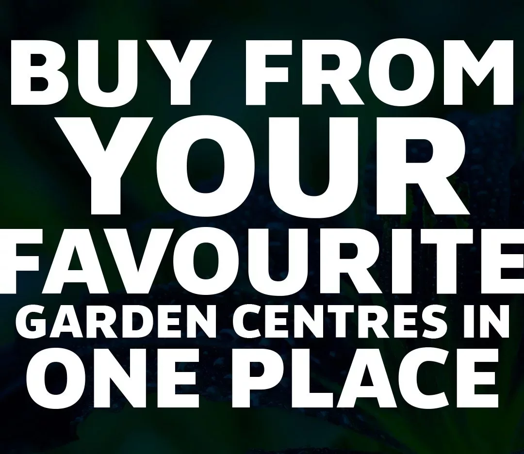 Favourite In One Place Ad ad, the online garden, favourite in one place ad