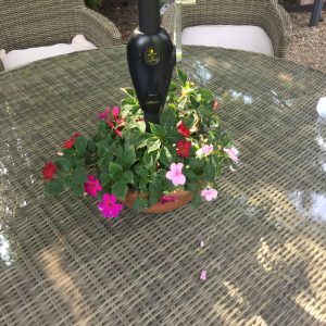 Umbrella pot