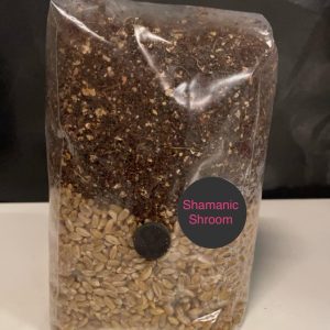 All-In-One Mushroom Grow Kit - 2KG - Grain Substrate CVG