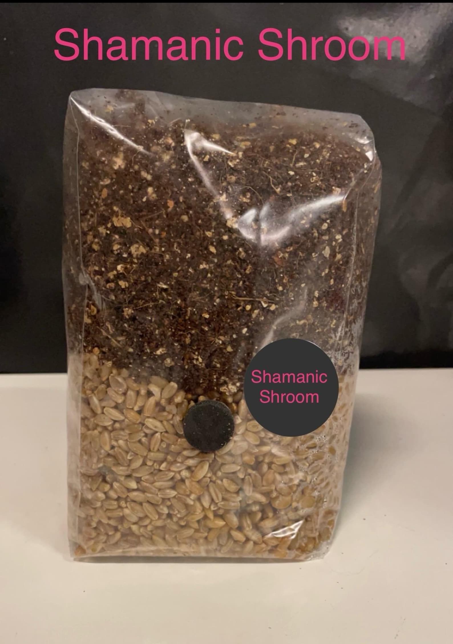 All-In-One Mushroom Grow Kit - 2KG - Grain Substrate CVG
