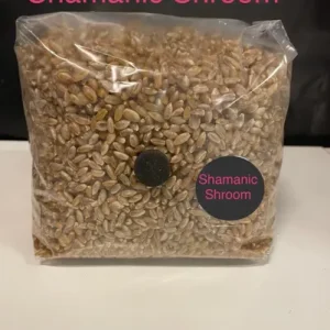 Premium Organic Rye Grain Grow Bag - 1.5Kg (Hydrated & Sterilised)