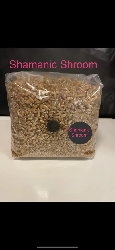 Premium Organic Rye Grain Grow Bag - 1.5Kg (Hydrated & Sterilised)
