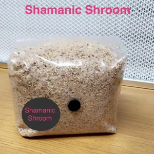 Injectable PF TEK 750g Mushroom Substrate All In One Grow Bag
