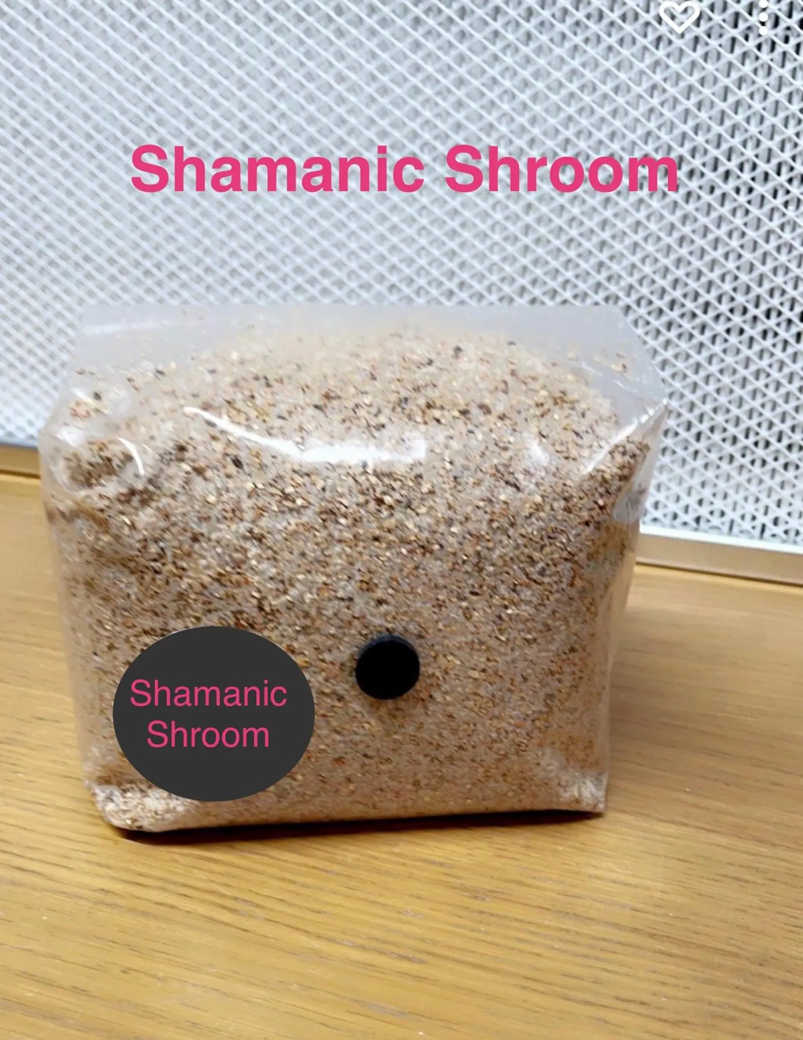 Injectable PF TEK 750g Mushroom Substrate All In One Grow Bag