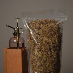 Hydrated Sphagnum Moss 2.5L